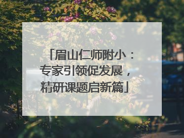 眉山仁师附小：专家引领促发展，精研课题启新篇