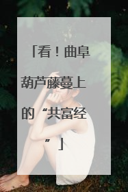 看！曲阜葫芦藤蔓上的“共富经”