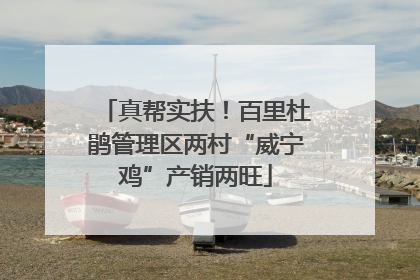 真帮实扶！百里杜鹃管理区两村“威宁鸡”产销两旺