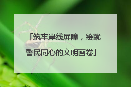 筑牢岸线屏障，绘就警民同心的文明画卷