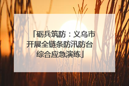 砺兵筑防：义乌市开展全链条防汛防台综合应急演练