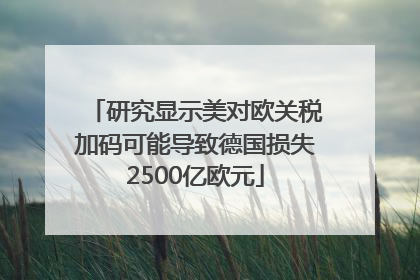 研究显示美对欧关税加码可能导致德国损失2500亿欧元