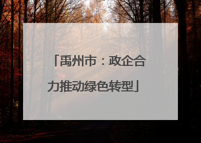 禹州市：政企合力推动绿色转型