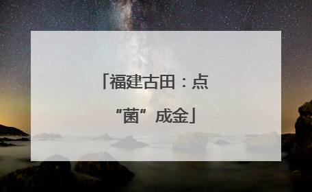 福建古田：点“菌”成金