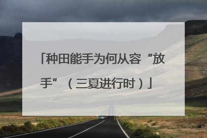 种田能手为何从容“放手”（三夏进行时）