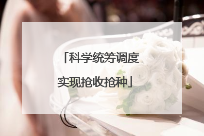 科学统筹调度实现抢收抢种