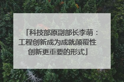 科技部原副部长李萌：工程创新成为成就颠覆性创新更重要的形式