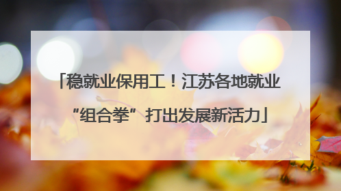 稳就业保用工！江苏各地就业“组合拳”打出发展新活力