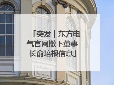 突发｜东方电气官网撤下董事长俞培根信息