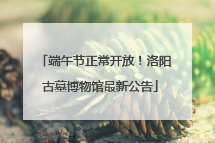 端午节正常开放！洛阳古墓博物馆最新公告