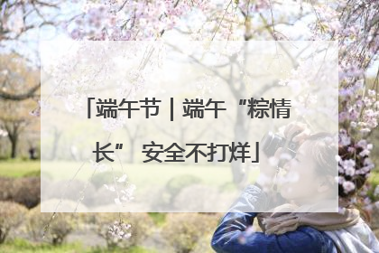 端午节｜端午“粽情长” 安全不打烊