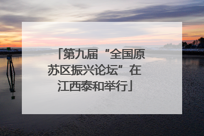 第九届“全国原苏区振兴论坛”在江西泰和举行