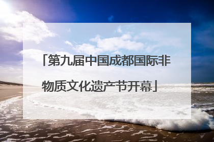 第九届中国成都国际非物质文化遗产节开幕