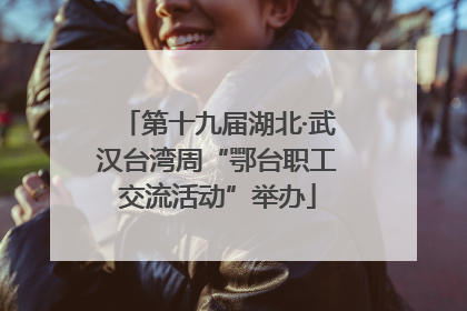 第十九届湖北·武汉台湾周“鄂台职工交流活动”举办