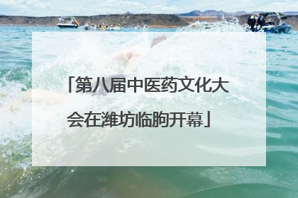 第八届中医药文化大会在潍坊临朐开幕