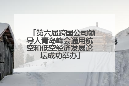 第六届跨国公司领导人青岛峰会通用航空和低空经济发展论坛成功举办