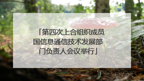 第四次上合组织成员国信息通信技术发展部门负责人会议举行
