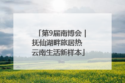 第9届南博会｜抚仙湖畔旅居热 云南生活新样本