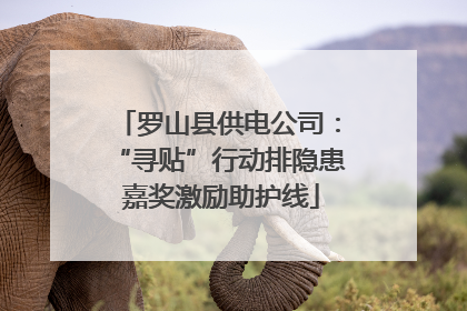 罗山县供电公司：“寻贴”行动排隐患 嘉奖激励助护线