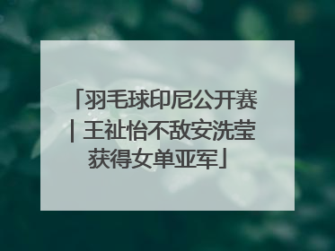 羽毛球印尼公开赛｜王祉怡不敌安洗莹 获得女单亚军