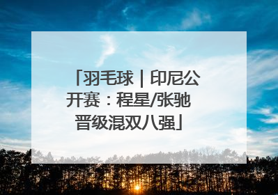 羽毛球｜印尼公开赛：程星/张驰晋级混双八强