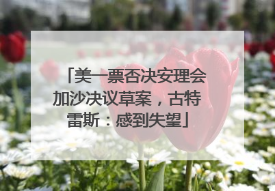 美一票否决安理会加沙决议草案，古特雷斯：感到失望