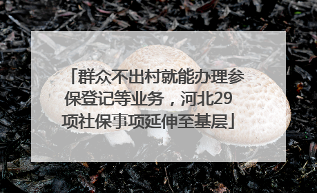 群众不出村就能办理参保登记等业务，河北29项社保事项延伸至基层