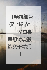 精耕细育促“拔节”——孝昌县思想铸魂锻造实干精兵