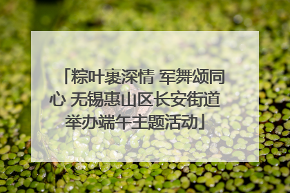 粽叶裹深情 军舞颂同心 无锡惠山区长安街道举办端午主题活动