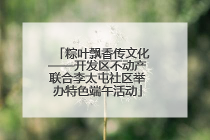 粽叶飘香传文化——开发区不动产联合李太屯社区举办特色端午活动