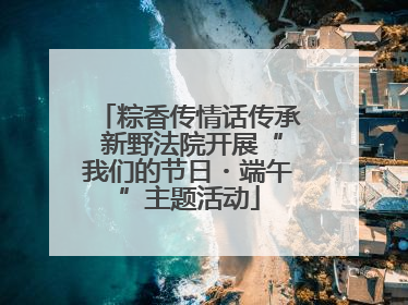 粽香传情话传承 新野法院开展“我们的节日・端午”主题活动