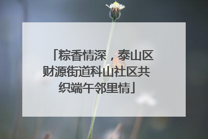 粽香情深，泰山区财源街道科山社区共织端午邻里情