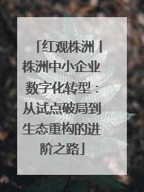 红观株洲丨株洲中小企业数字化转型：从试点破局到生态重构的进阶之路