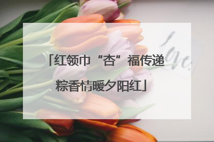 红领巾“杏”福传递 粽香情暖夕阳红
