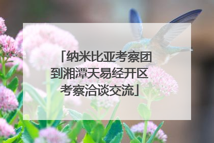 纳米比亚考察团到湘潭天易经开区考察洽谈交流