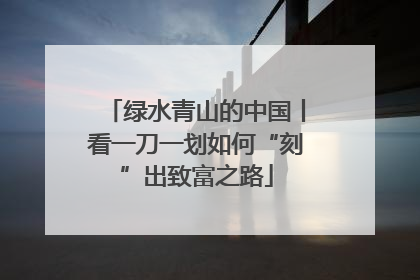 绿水青山的中国丨看一刀一划如何“刻”出致富之路