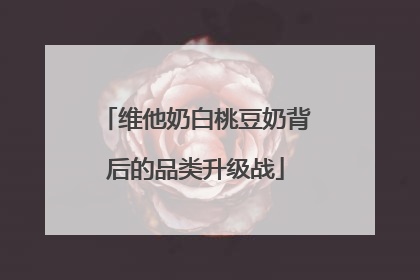 维他奶白桃豆奶背后的品类升级战