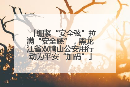 绷紧“安全弦”拉满“安全感”，黑龙江省双鸭山公安用行动为平安“加码”