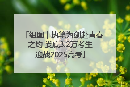 组图｜执笔为剑赴青春之约 娄底3.2万考生迎战2025高考
