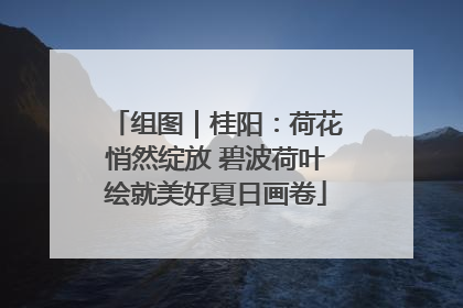 组图｜桂阳：荷花悄然绽放 碧波荷叶绘就美好夏日画卷