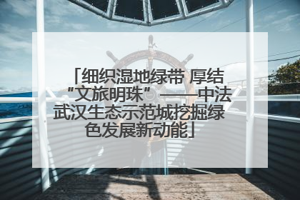 细织湿地绿带 厚结“文旅明珠”——中法武汉生态示范城挖掘绿色发展新动能