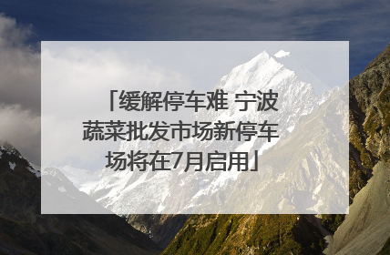 缓解停车难 宁波蔬菜批发市场新停车场将在7月启用