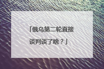 俄乌第二轮直接谈判谈了啥？
