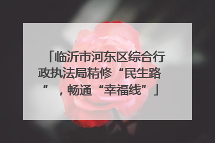 临沂市河东区综合行政执法局精修“民生路”，畅通“幸福线”