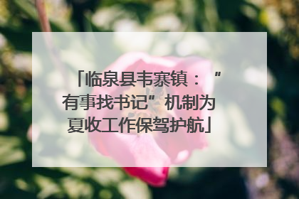 临泉县韦寨镇：“有事找书记”机制为夏收工作保驾护航