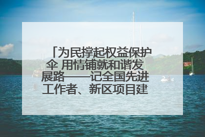 为民撑起权益保护伞 用情铺就和谐发展路——记全国先进工作者、新区项目建设中心干部卢小勇