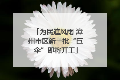 为民遮风雨 漳州市区新一批“巨伞”即将开工