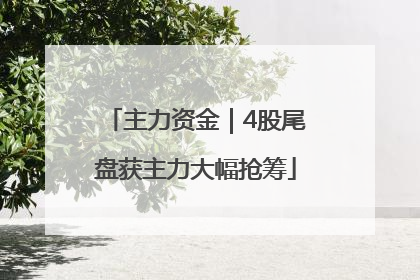主力资金｜4股尾盘获主力大幅抢筹