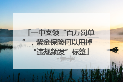 一中支领“百万罚单”，紫金保险何以甩掉“违规频发”标签