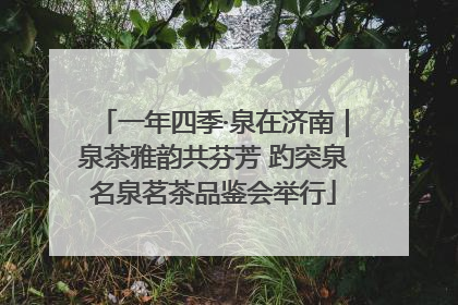 一年四季·泉在济南｜泉茶雅韵共芬芳 趵突泉名泉茗茶品鉴会举行
